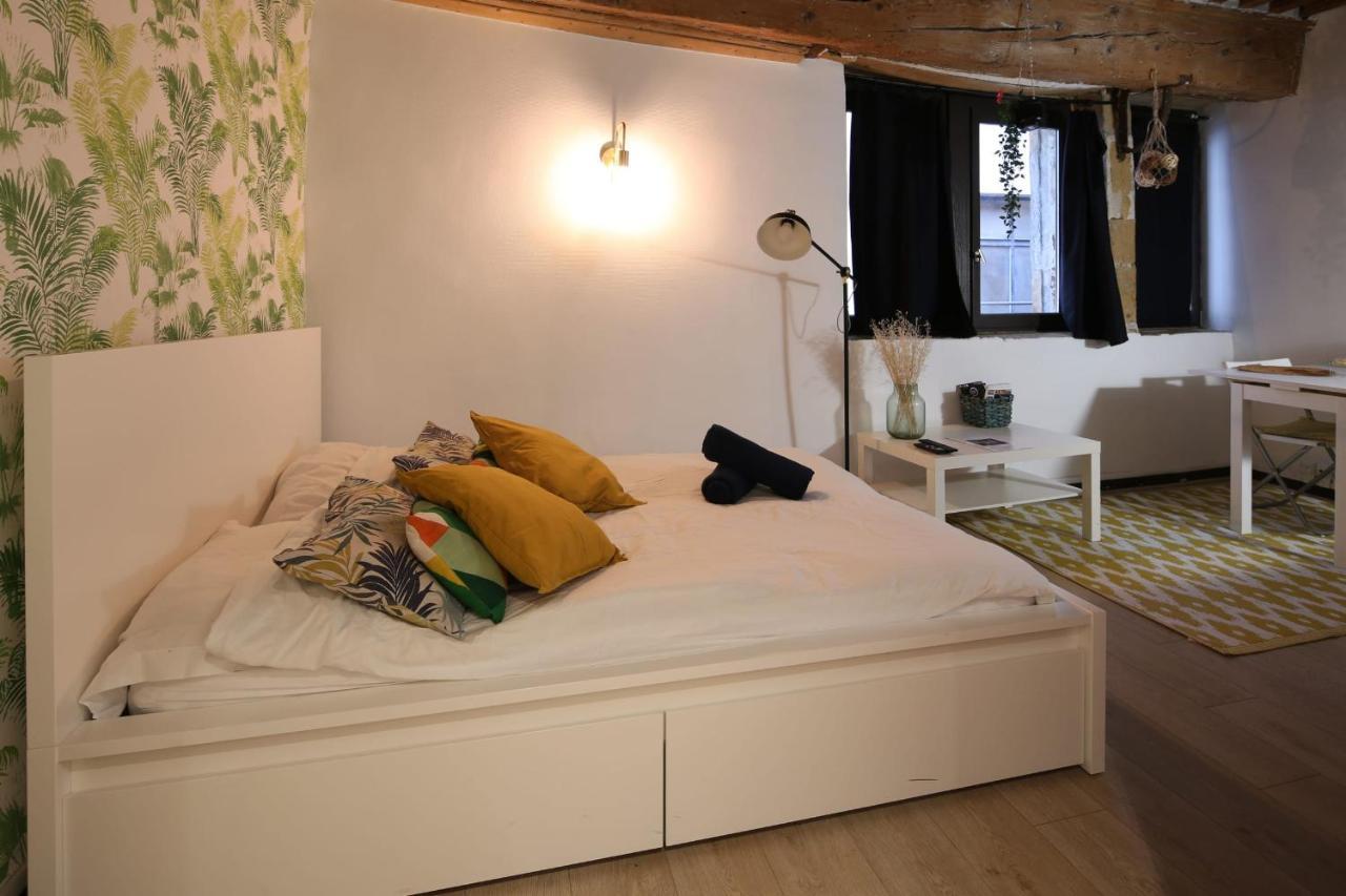 Charming Studio Centre Ville De 里昂 外观 照片